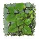 Reptile Treasures Plant Mat B - 10x10