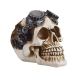 Underwater Treasures Mechanical Skull