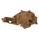 Underwater Treasures Natural wood - X-Large