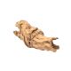 Underwater Treasures Grapewood Log - Small - 6-8