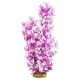 Underwater Treasures Feather Plant - Tall