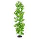 Underwater Treasures Silk Bacopa Monnieri - 20
