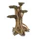 Underwater Treasures Ancient Tree