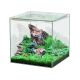 Aquatlantis Kubus Tank - 10L