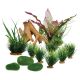 Big Al's Plant Packs