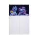 Red Sea Reefer 250 G3 - White