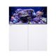 Red Sea Reefer 425 G3 - White