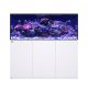 Red Sea Reefer 625 G3 - White