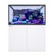 Red Sea Reefer S-550 G3 - White