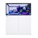 Red Sea Reefer Peninsula 500 G3 - White