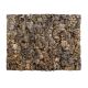 Josh's Frog Cork Background - 18x24