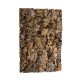 Josh's Frog Cork Background - 12x18