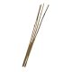 Josh's Frog Bamboo Stick - 2 ft.