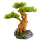 Underwater Treasures Old Bonsai Tree