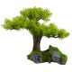 Underwater Treasures Young Bonsai Tree