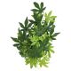 Underwater Treasures Japanese Maple - Green - 18