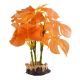 Underwater Treasures Monstera - Orange - Small