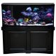 Seapora Monarch Reef-Ready Aquarium Kit - Black - 90 gal