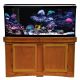 Seapora Monarch Reef-Ready Aquarium Kit - Oak - 90 gal