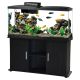 Aqueon Empress LED Starter Aquarium Kit - Black - 55 gal