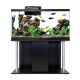 Aqueon Roman LED Starter Kit - Black - 55 Gal