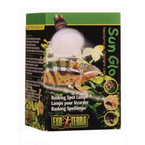 Exo Terra Daylight Basking Spot Lamp - 100 W